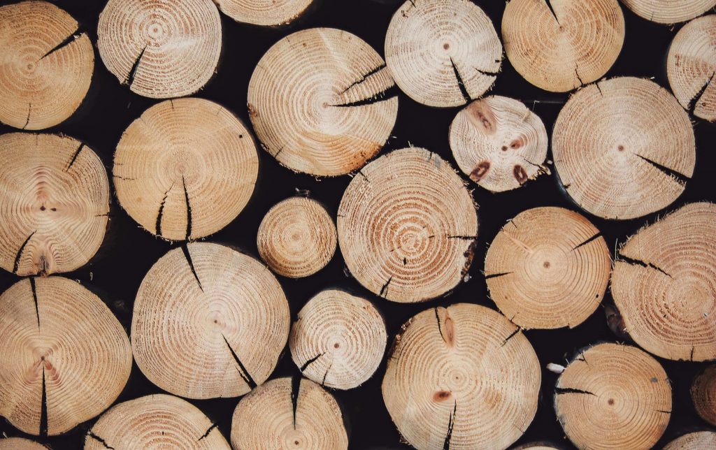 Blog-Imagen-como-elegir-el-piso-de-tu-hogar-madera-arboles-Homedressing-Sep20.jpg