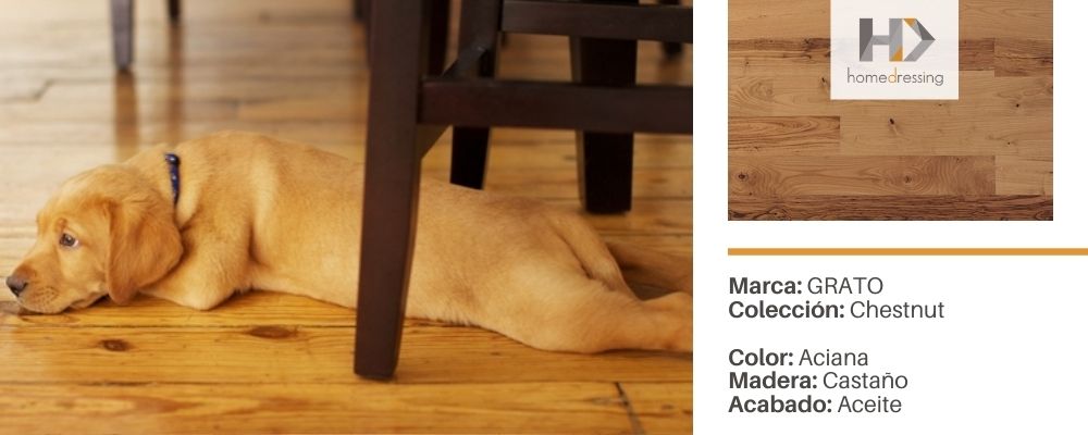 Blog-Imagen-pisos-madera-ingenieria-hogares-con-perros-gatos-mascotas-marca-grato-chestnut-color-aciana-madera-castano-acabado-aceite-Homedressing-Dic20