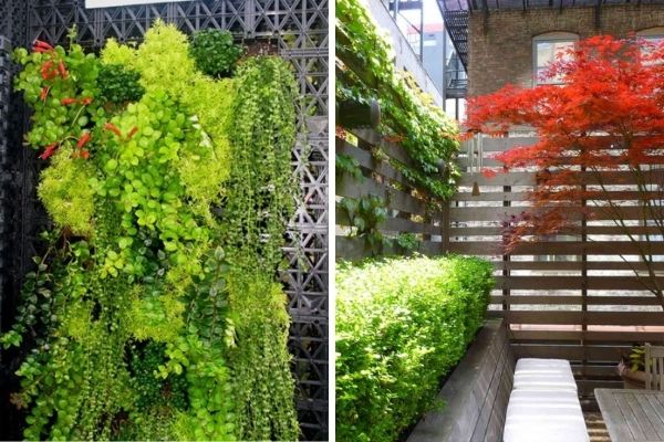 Tips para diseñar tu roof garden